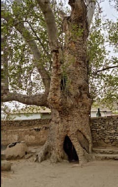 Nokhur
